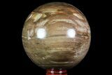 Colorful Petrified Wood Sphere - Madagascar #71419-1